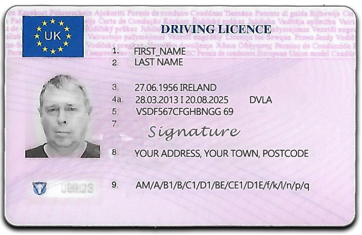 Driving Licence 4